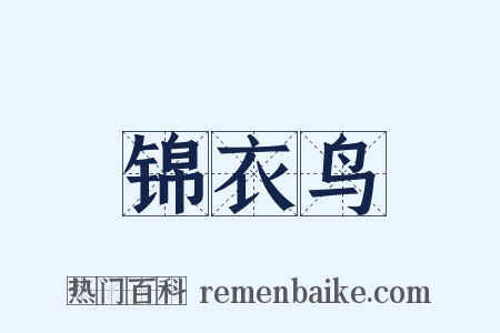 锦衣鸟是什么意思的图片
